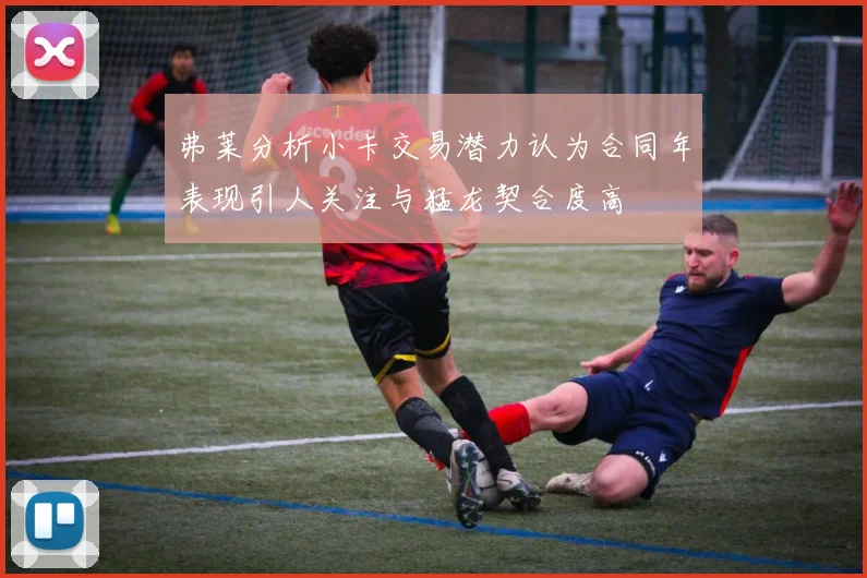 弗莱分析小卡交易潜力认为合同年表现引人关注与猛龙契合度高